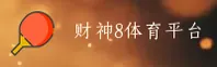 使用指南与常见问题